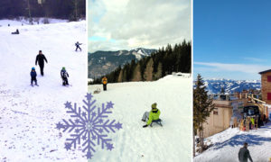 Der perfekte Schlitten für jede Schneehöhe: Snow Tubes, Lenkbobs, Popo- Rutscher, Babyschlitten,  - Ich spring im Dreieck