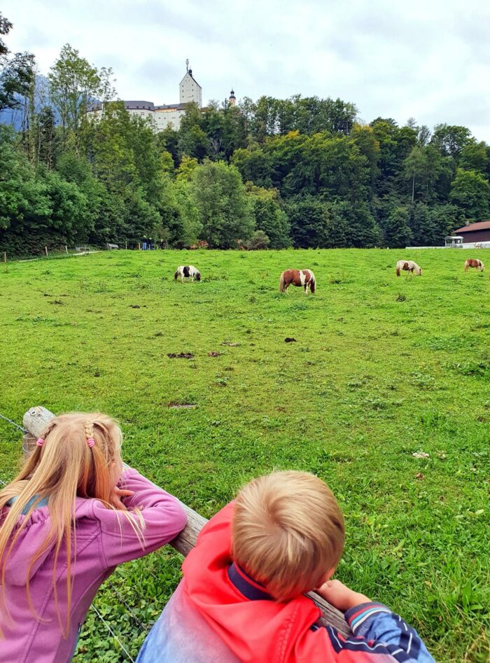 Der Boarische Entschleunigungsweg in Aschau im Chiemgau: einzigartige  Familien-Rundwanderung mit Kunst- und Spielbänken, Fluss und wunderschönen  Spielplätzen - Ich spring im Dreieck