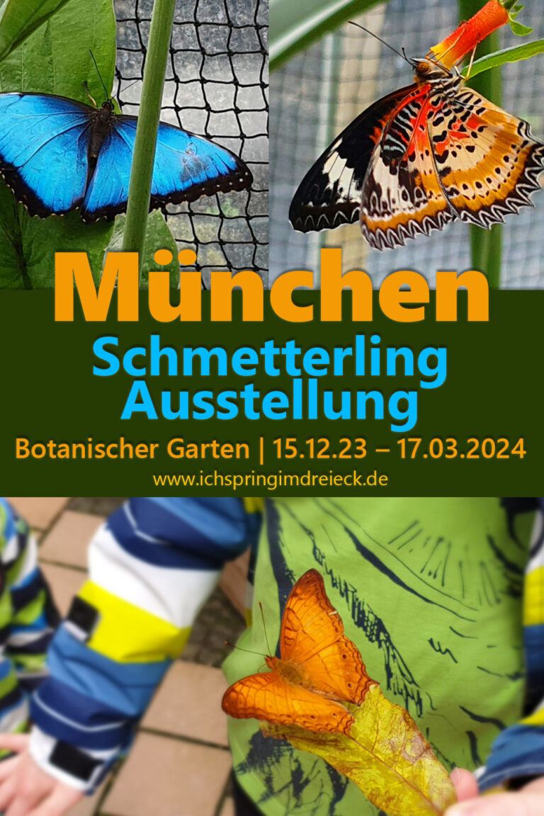 Schmetterlingsausstellung im Botanischen Garten München mit riesigen