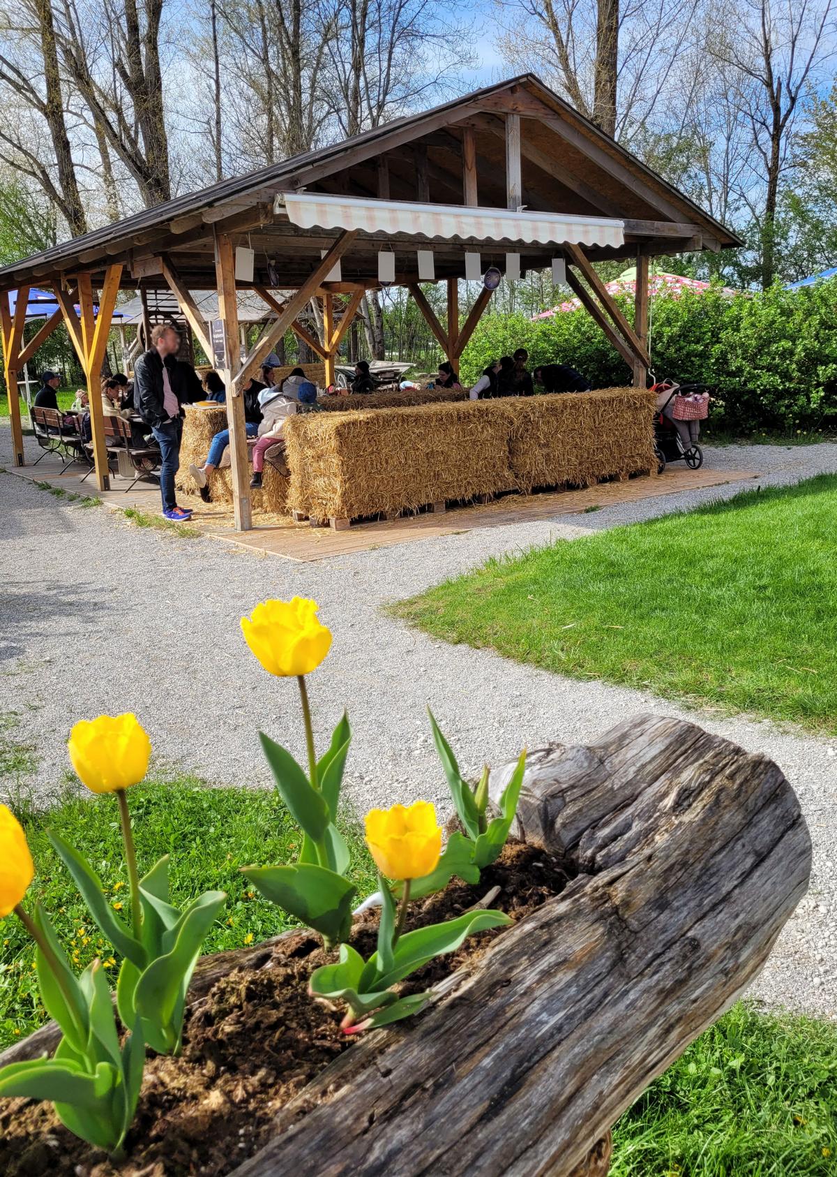 Beerencafes in München ab sofort geöffnet unsere Besuche im Hofreiter