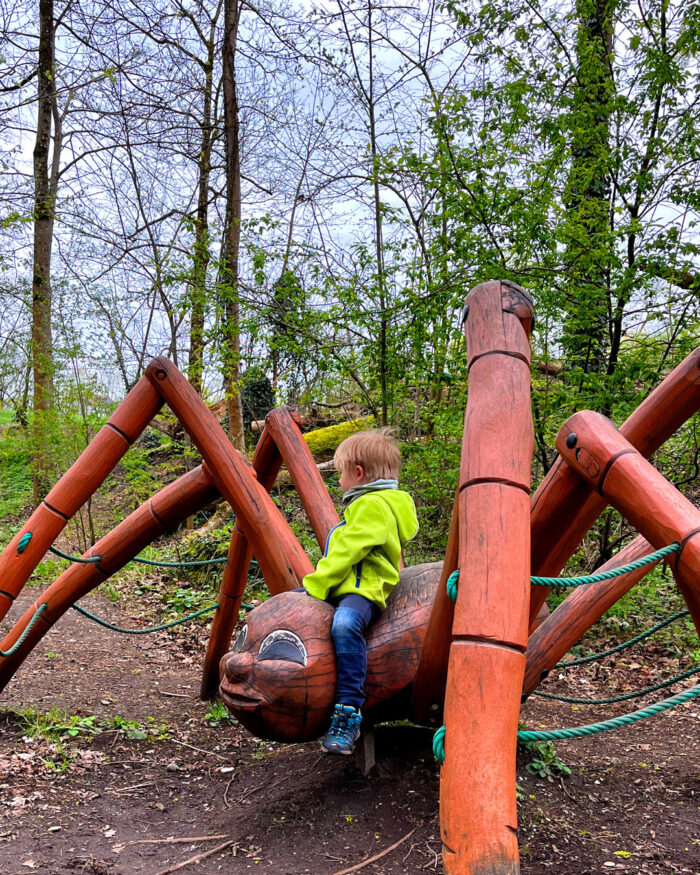 Natur-Erlebnispfad Altoetting Gries Holz-Spinne